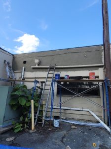 whatsapp image 2026 03 10 at 12.29.27 pm (3)