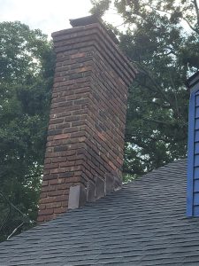 whatsapp image 2026 03 10 at 12.29.29 pm